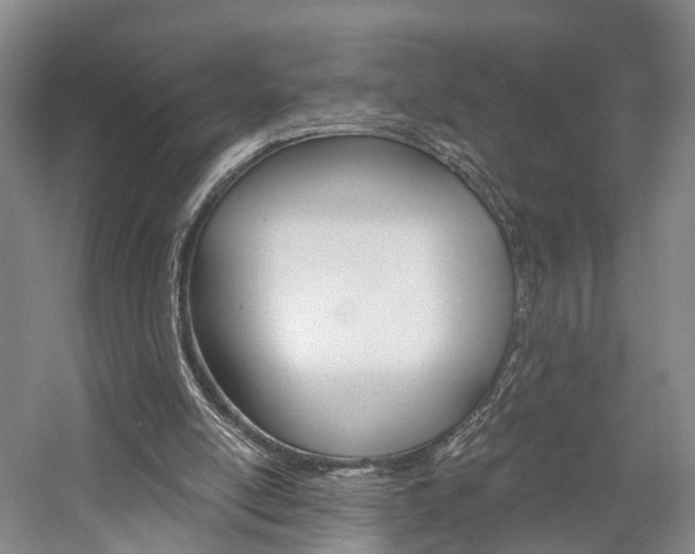 X0000058800054200509300925