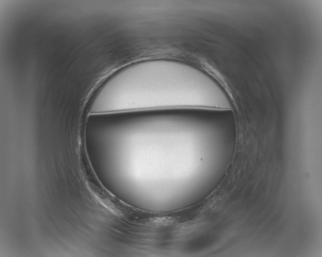X0000058800059200509300925