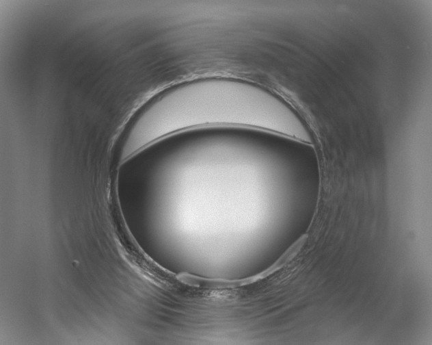 X0000058800060200509300925