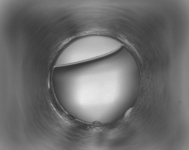 X0000058800062200509300925