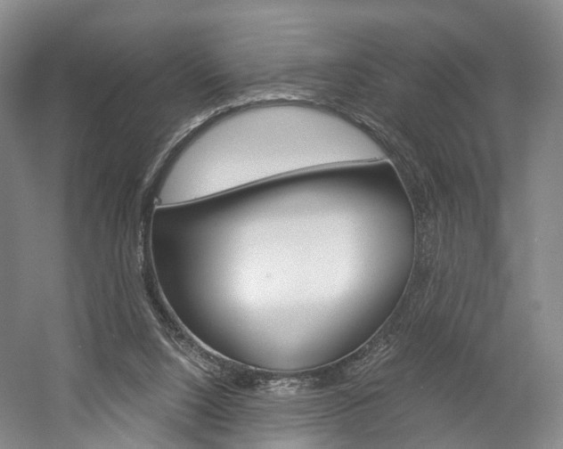 X0000058800064200509300925