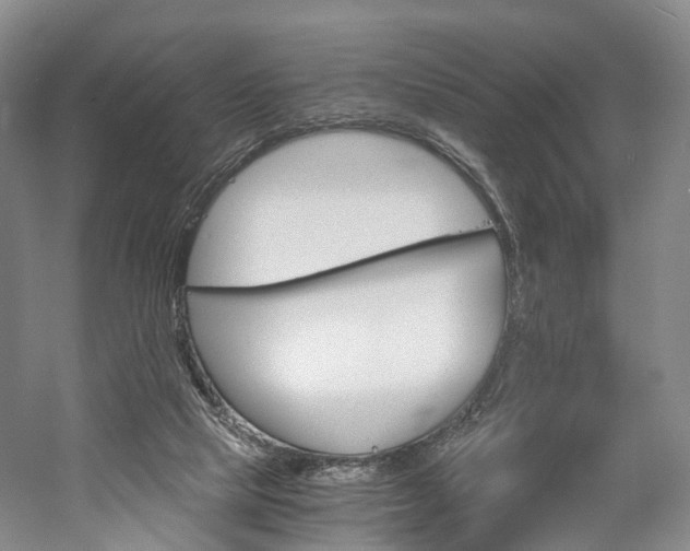 X0000058800065200509300925