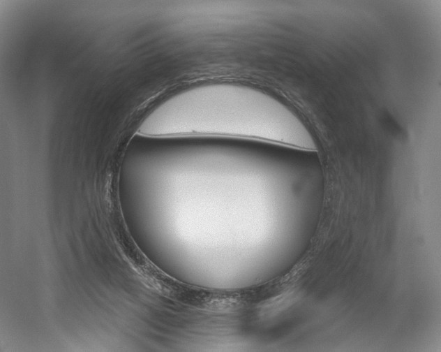 X0000058800066200509300925