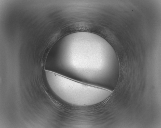 X0000058800070200509300925