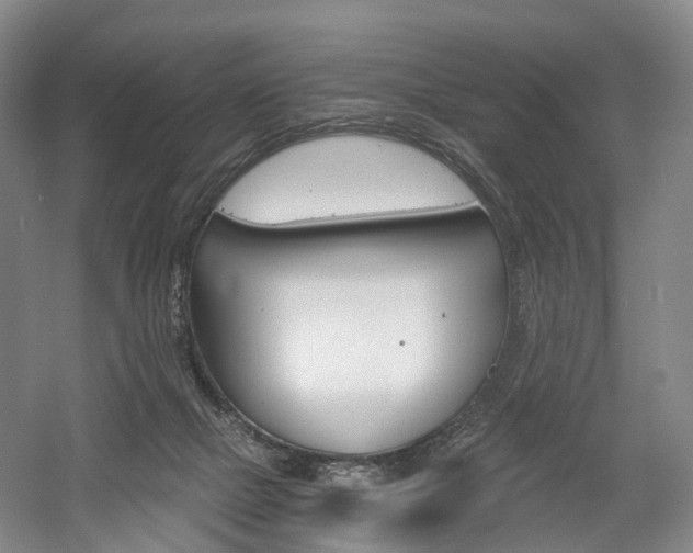 X0000058800073200509300925
