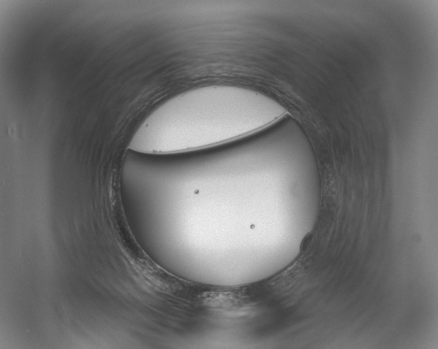 X0000058800074200509300925