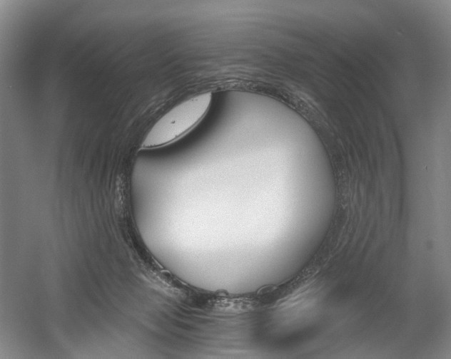 X0000058800077200509300925