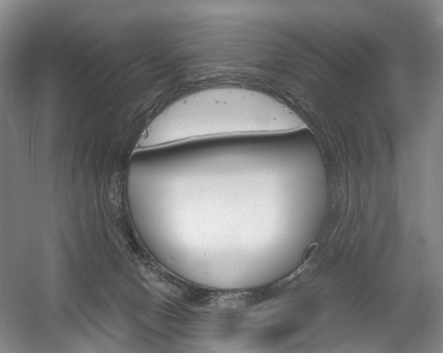 X0000058800078200509300925