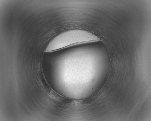 X0000058800080200509300925