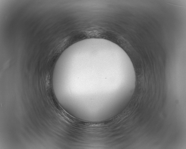 X0000058800081200509300925