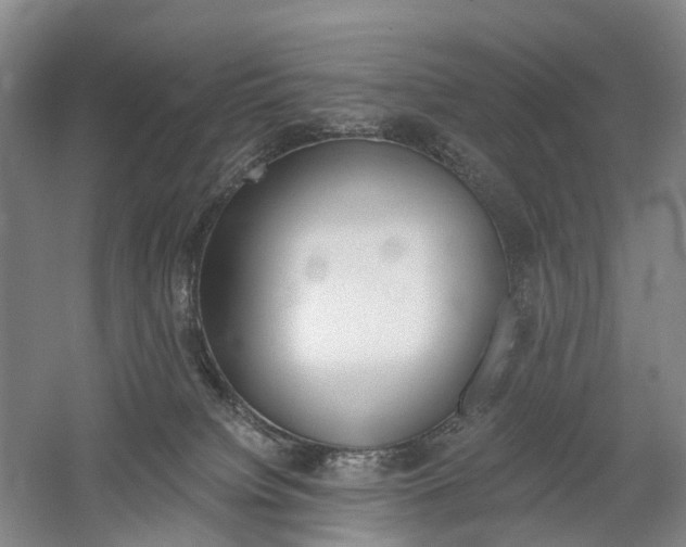 X0000058800084200509300925