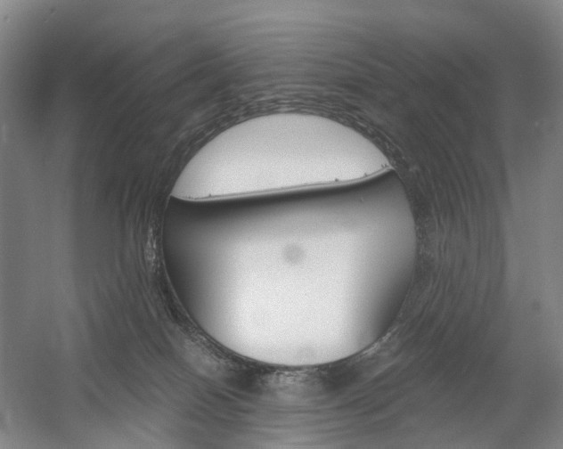 X0000058800086200509300925