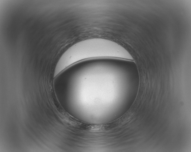 X0000058800088200509300925