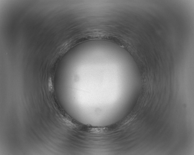 X0000058800089200509300925