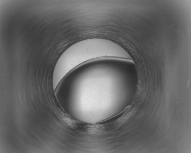 X0000058800096200509300925