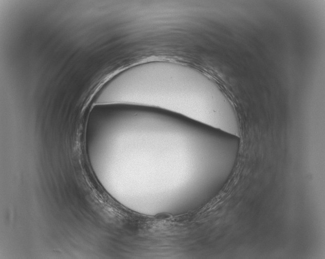 X0000058800098200509300925