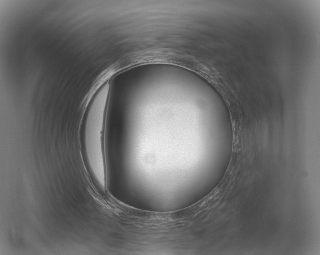 X0000058800099200509300924