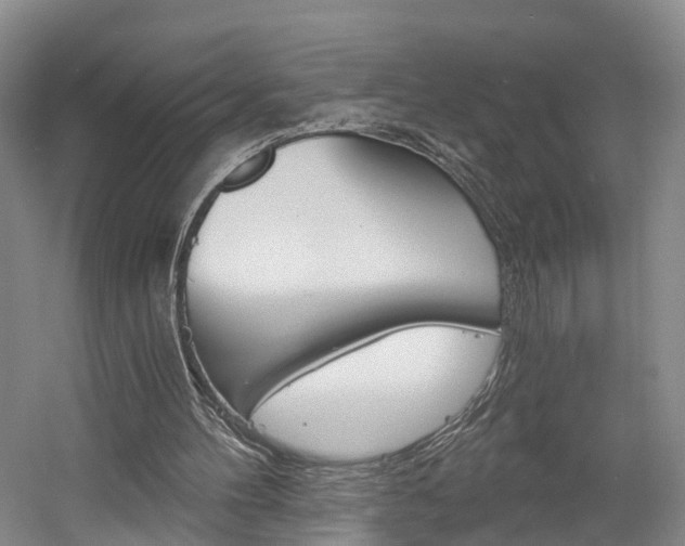 X0000058800100200509300924