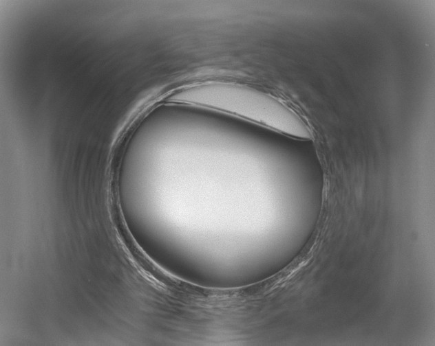 X0000058800101200509300924