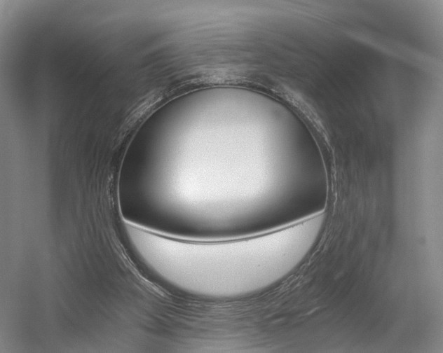 X0000058800105200509300924