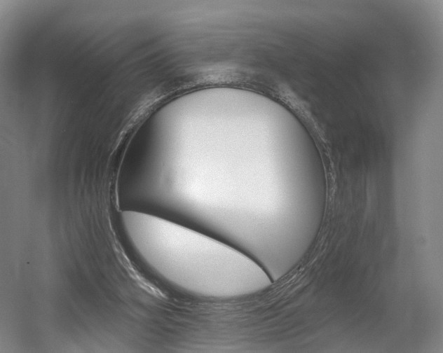 X0000058800106200509300924