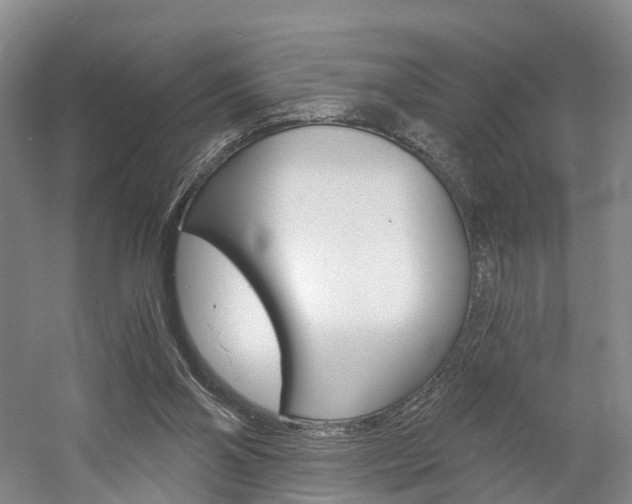 X0000058800110200509300924