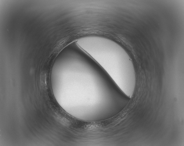 X0000058800115200509300924