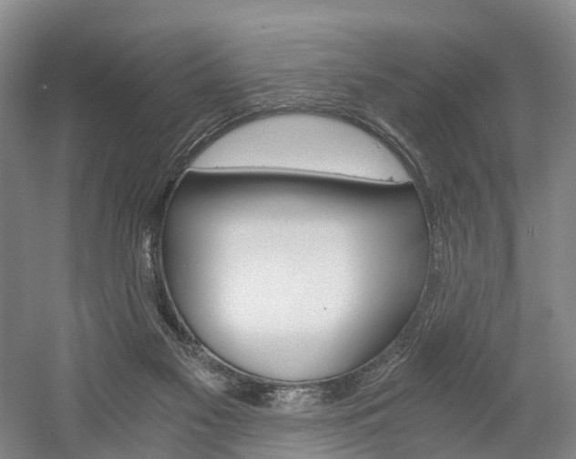 X0000058800117200509300924