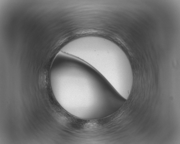 X0000058800119200509300924