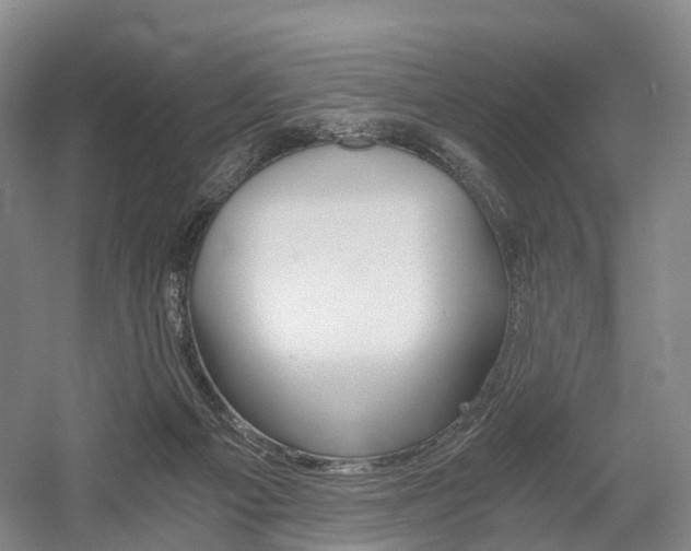 X0000058800121200509300924