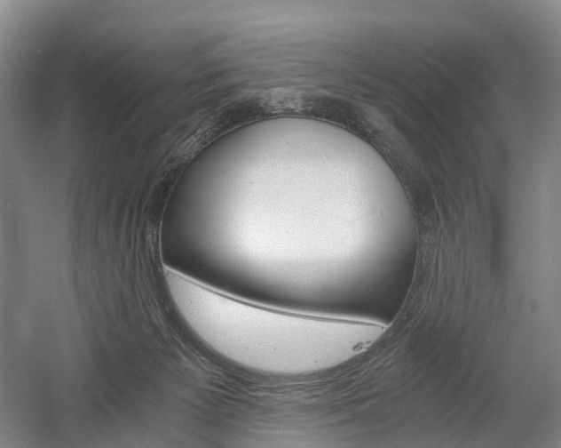 X0000058800125200509300924