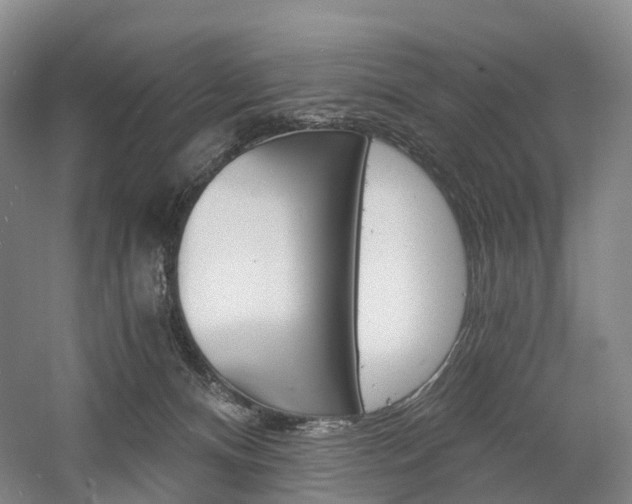 X0000058800128200509300924