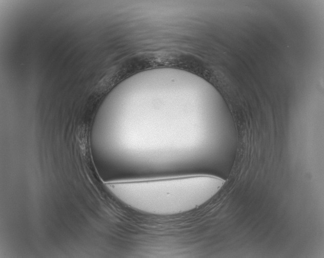 X0000058800129200509300924