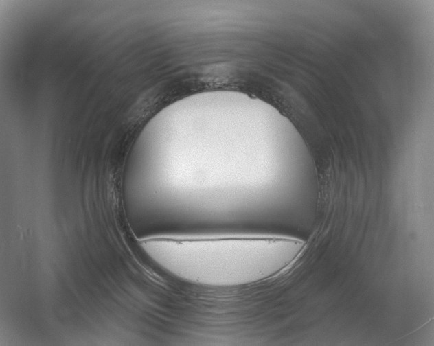X0000058800136200509300924