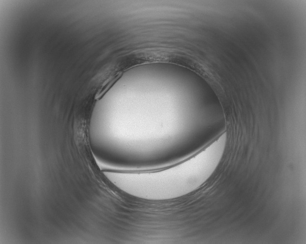 X0000058800141200509300924