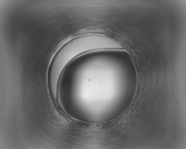 X0000058800148200509300923