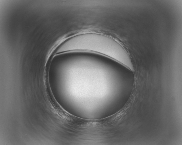 X0000058800152200509300923