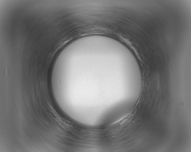 X0000058800154200509300923