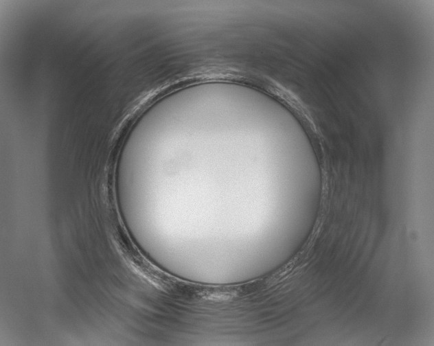 X0000058800155200509300923