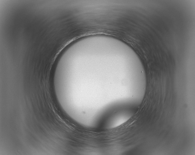X0000058800156200509300923