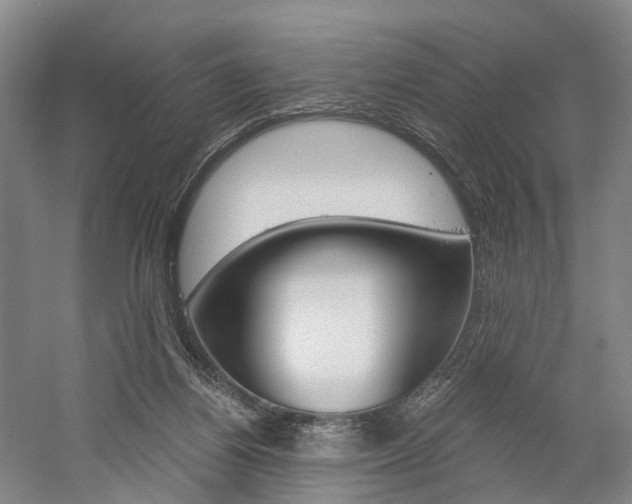 X0000058800164200509300923