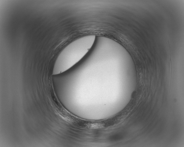 X0000058800165200509300923