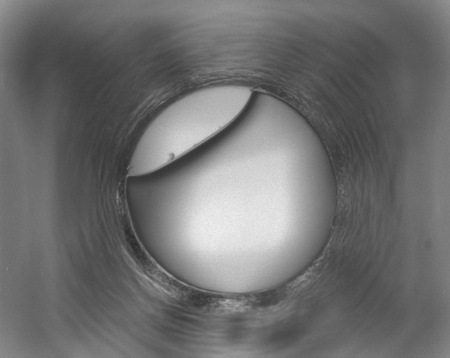 X0000058800166200509300923
