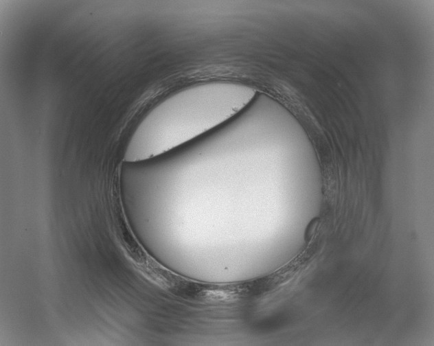 X0000058800167200509300923