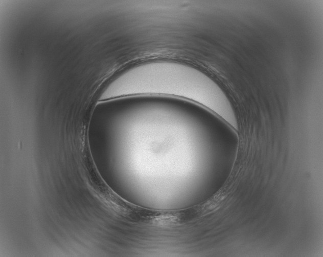 X0000058800168200509300923