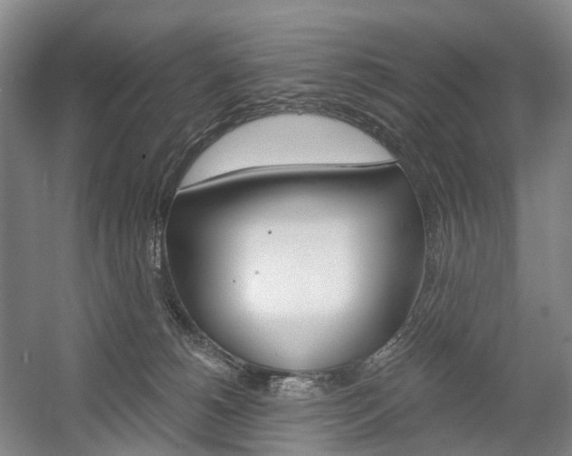 X0000058800180200509300924