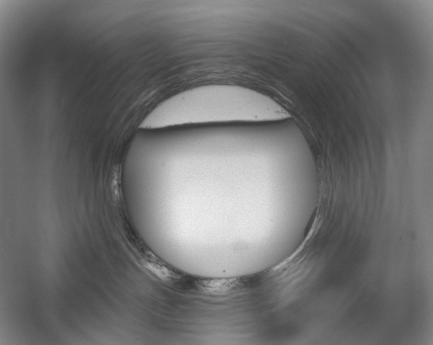 X0000058800191200509300924