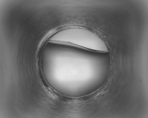 X0000058800197200509300923