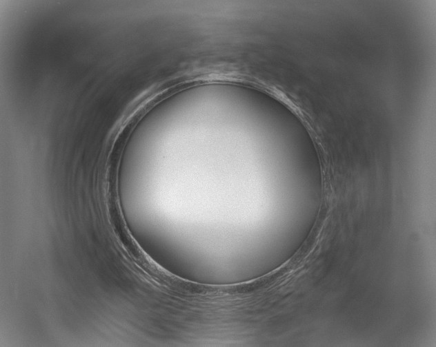X0000058800199200509300923