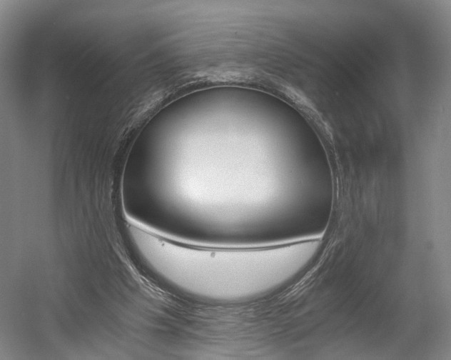 X0000058800201200509300923